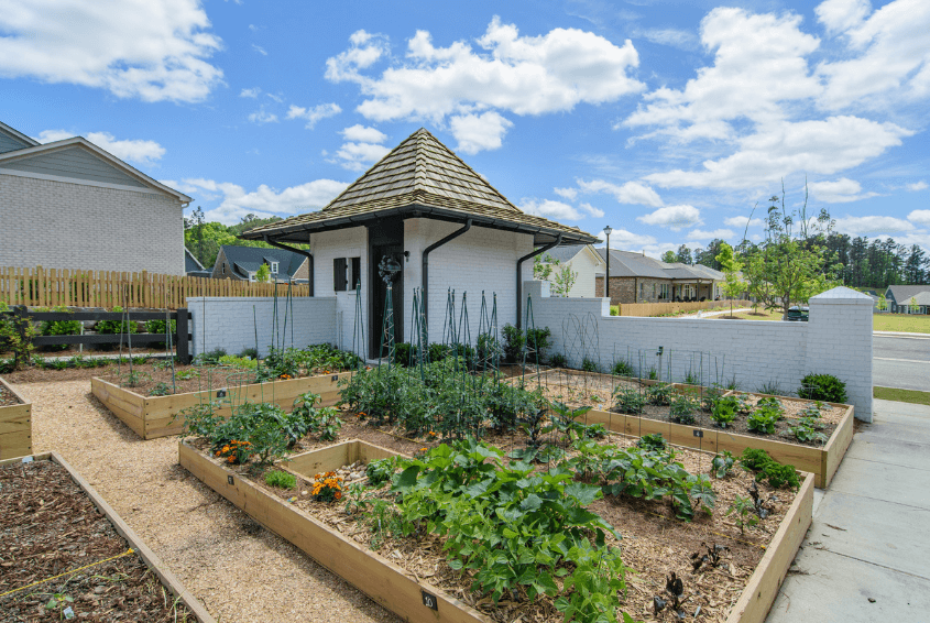 community garden abingdon 55 and older community in hoover al